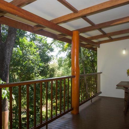 Milkwood Lodge Cooktown Exterior foto