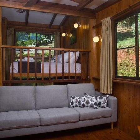 Milkwood Lodge Cooktown Exterior foto